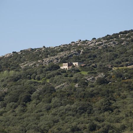 Campi Elisi B&B Sassari Eksteriør bilde