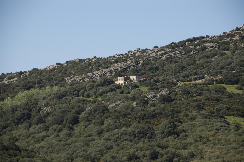Campi Elisi B&B Sassari Eksteriør bilde